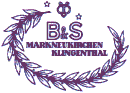 [B&S Logo]