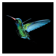 Kolibri - "Hummingbird"